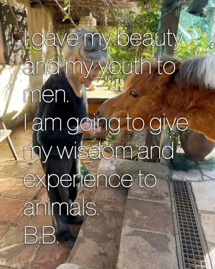 I gave my beauty and my youth to men. I am going to give my wisdom and experience to animals.